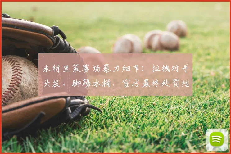 米特里策赛场暴力细节：拉拽对手头发、脚踢冰桶，官方最终处罚结果公布
