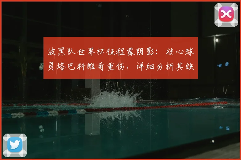 波黑队世界杯征程蒙阴影:核心球员塔巴科维奇重伤,详细分析其缺阵影响