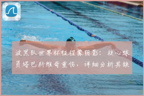 波黑队世界杯征程蒙阴影：核心球员塔巴科维奇重伤，详细分析其缺阵影响